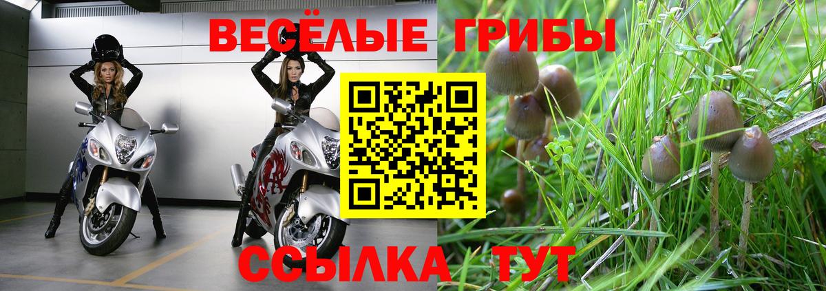 Псилоцибиновые грибы мухоморы Грозный